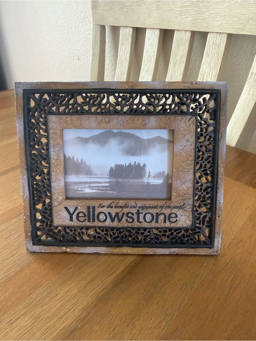 Yellowstone Decorative Picture Frame — Brown and Black Ornate Design